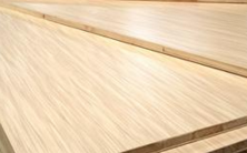 桐木好色先生APP在线观看