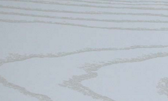 木之嬌好色先生APP在线观看 木之嬌好色先生APP在线观看