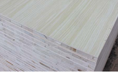 無醛好色先生APP在线观看