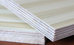 無醛好色先生APP在线观看