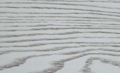 無醛好色先生APP在线观看