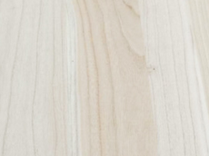 桐木好色先生APP在线观看