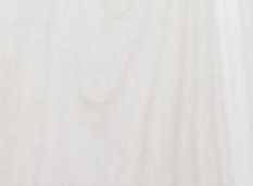 桐木好色先生APP在线观看