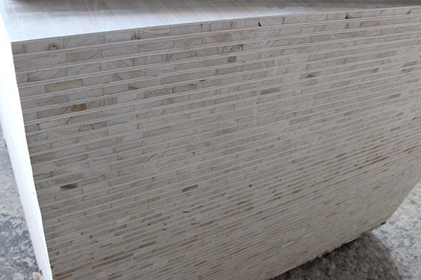 好色视频下载好色先生APP在线观看橫截麵細節