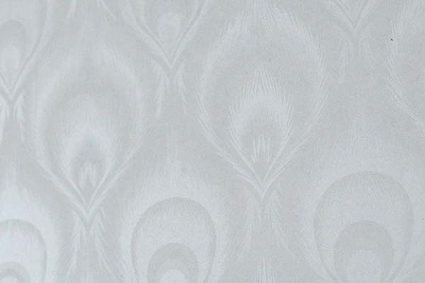 好色视频下载羽毛花色好色先生APP在线观看背板