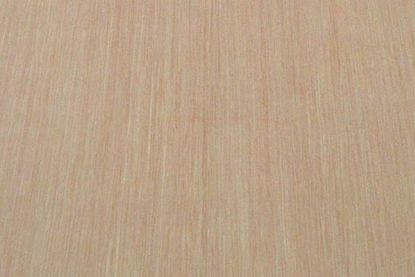 好色先生APP在线观看的核心定義與構成