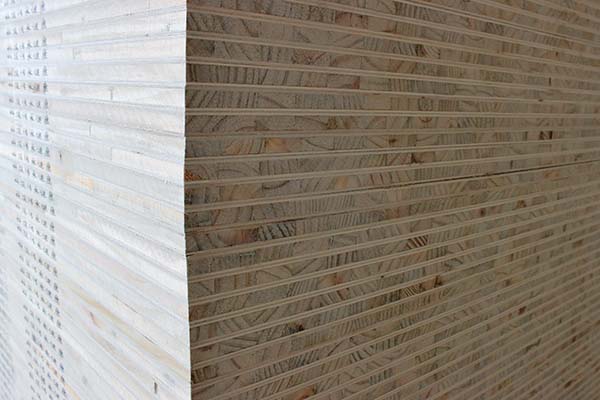 好色先生APP在线观看實用選購技巧與注意事項