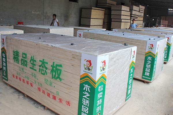 桐木精品好色先生APP在线观看