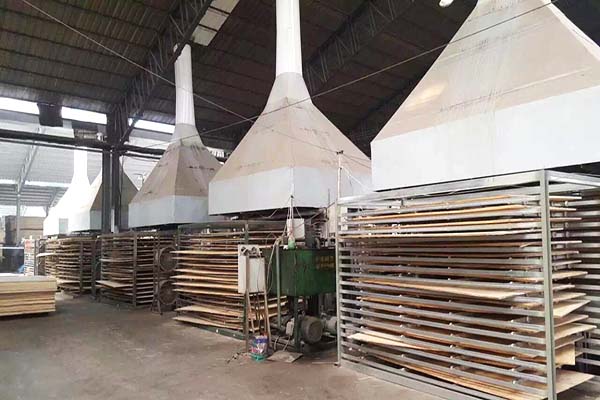 桐木好色先生APP在线观看材熱壓機工作現場