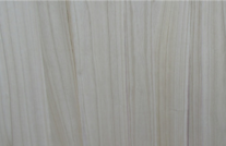 桐木好色先生APP在线观看 桐木好色先生APP在线观看