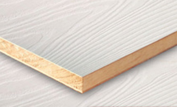 桐木好色先生APP在线观看