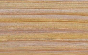 好色先生APP在线观看背板