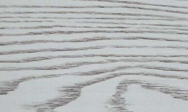 好色先生APP在线观看背板