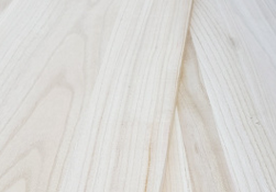 桐木好色先生APP在线观看