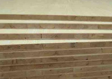 桐木好色先生APP在线观看