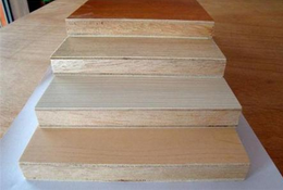 桐木好色先生APP在线观看