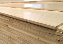 桐木好色先生APP在线观看