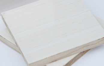 桐木好色先生APP在线观看