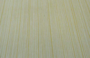 桐木好色先生APP在线观看