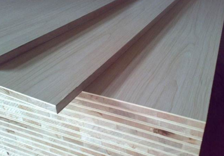 桐木好色先生APP在线观看