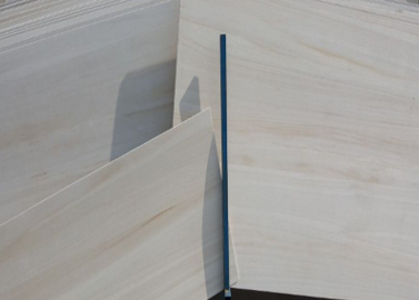 桐木好色先生APP在线观看