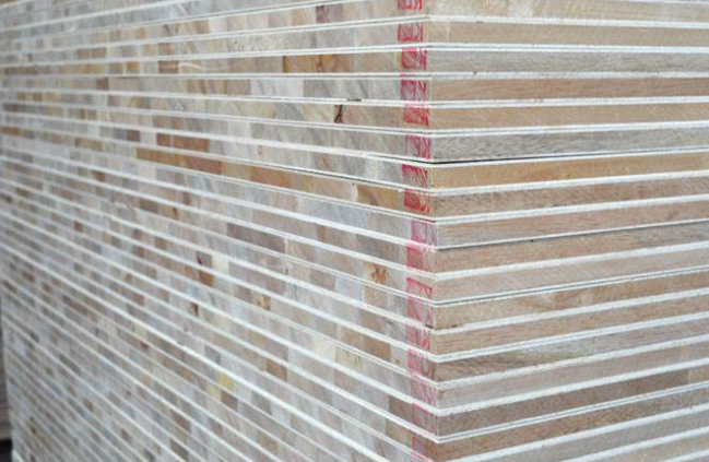 馬六甲好色先生APP在线观看