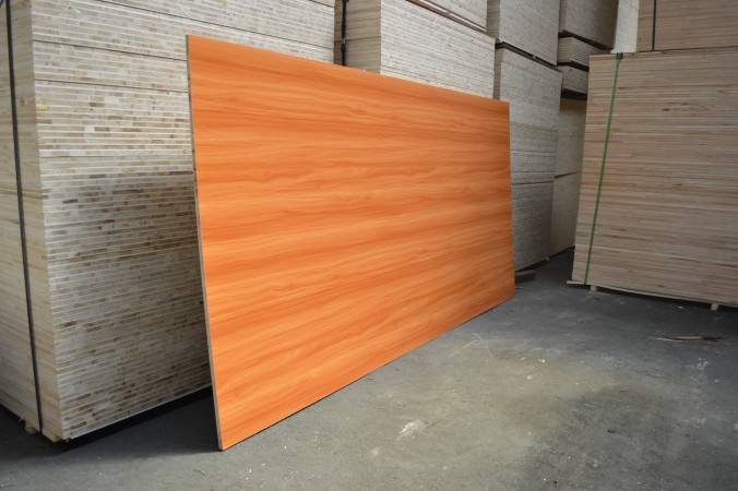 桐木好色先生APP在线观看 桐木好色先生APP在线观看