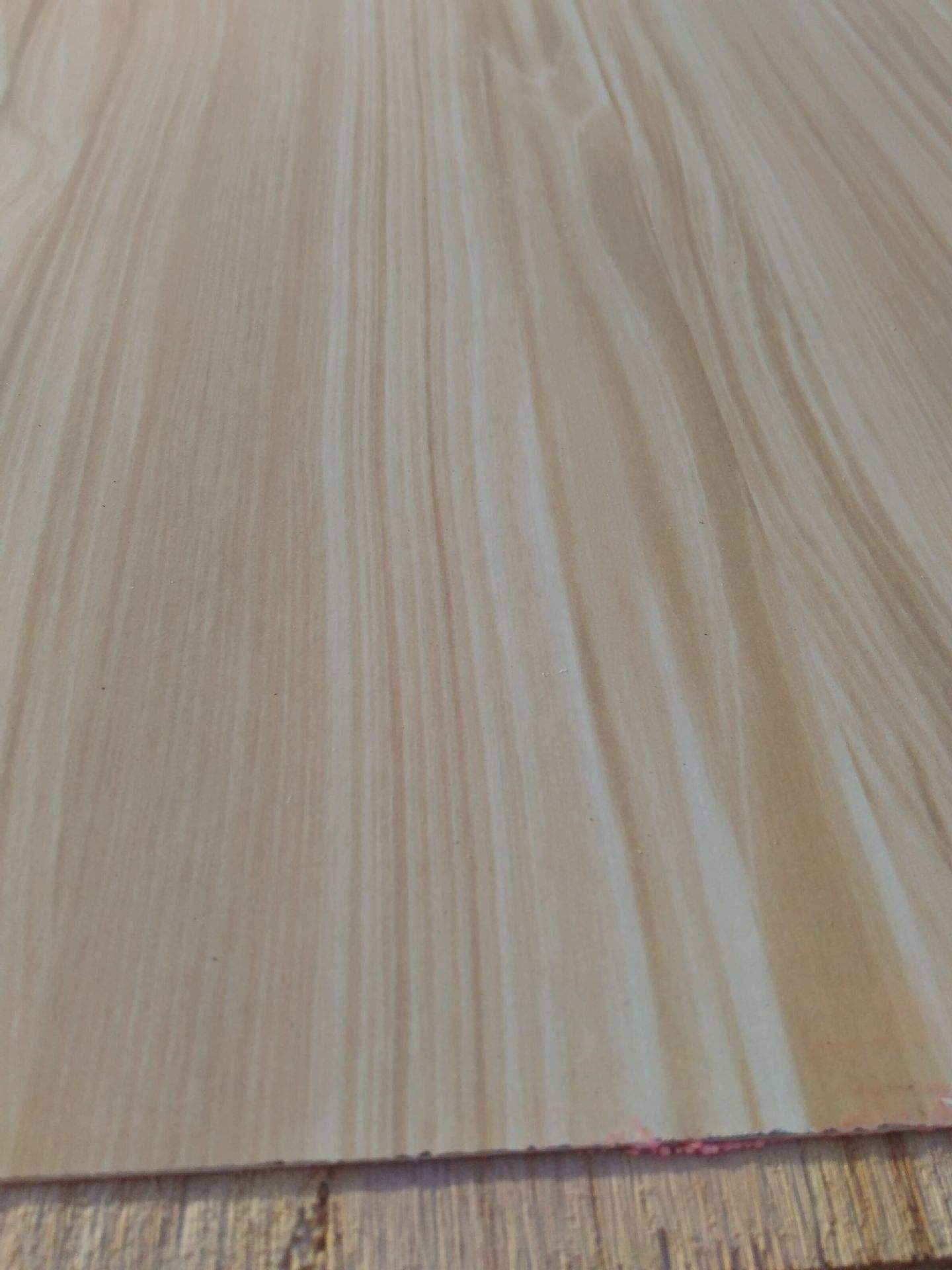 桐木好色先生APP在线观看 桐木好色先生APP在线观看