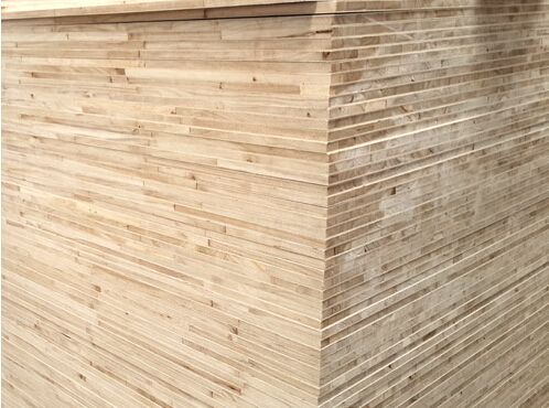 桐木好色先生APP在线观看 桐木好色先生APP在线观看