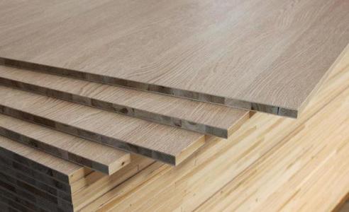 桐木好色先生APP在线观看 桐木好色先生APP在线观看