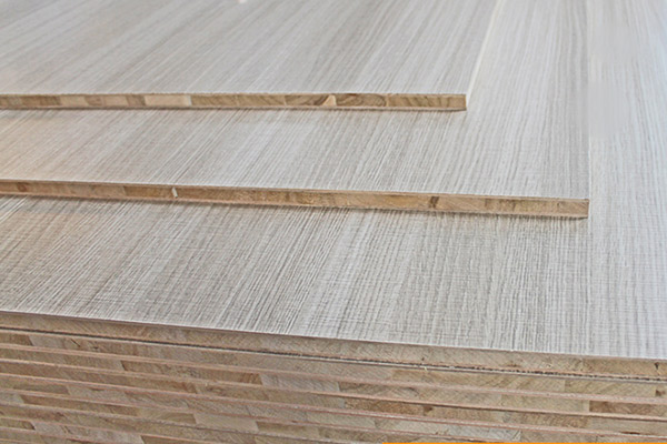 桐木好色先生APP在线观看