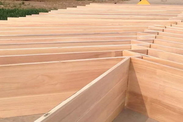 桐木好色先生APP在线观看 桐木好色先生APP在线观看