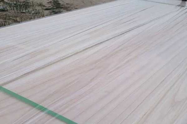 桐木好色先生APP在线观看 桐木好色先生APP在线观看